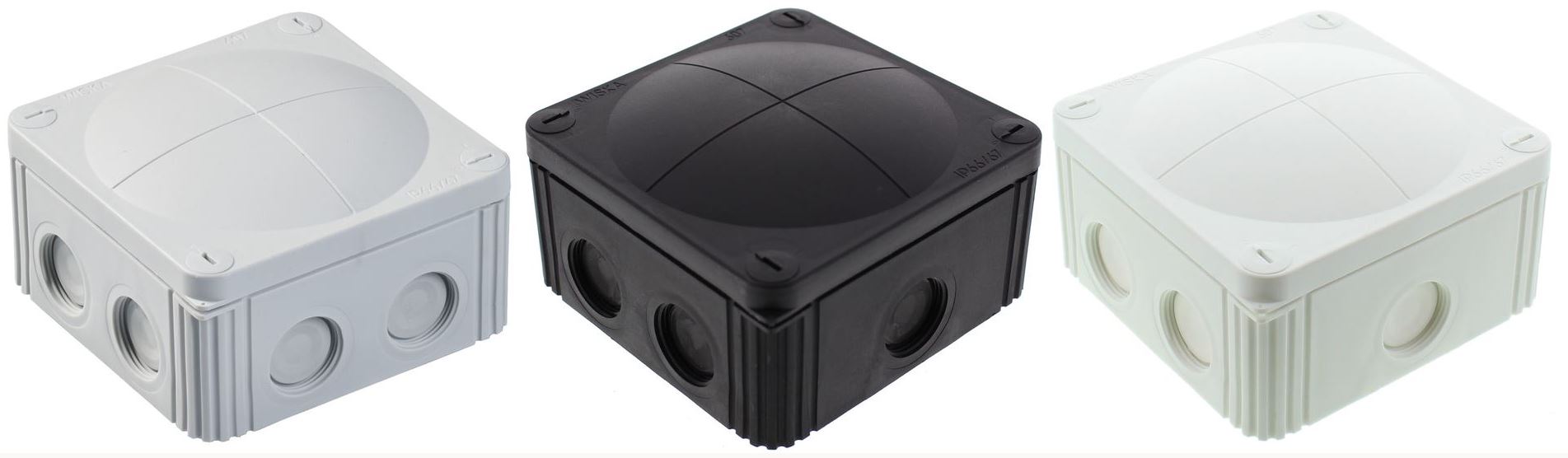 combi607 group photo.JPG